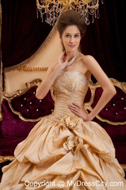 Beautiful Taffeta Appliques Champagne Sweet 16 Dresses