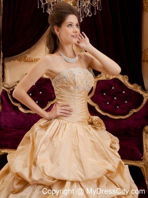 Beautiful Taffeta Appliques Champagne Sweet 16 Dresses