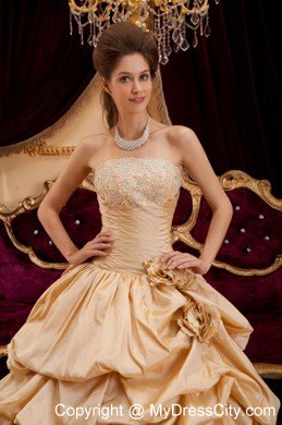 Beautiful Taffeta Appliques Champagne Sweet 16 Dresses