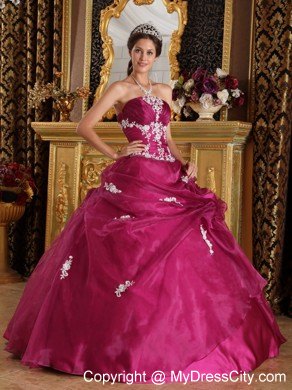 Burgundy Organza and Satin Appliques Quinceanera Gown