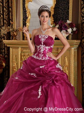 Burgundy Organza and Satin Appliques Quinceanera Gown