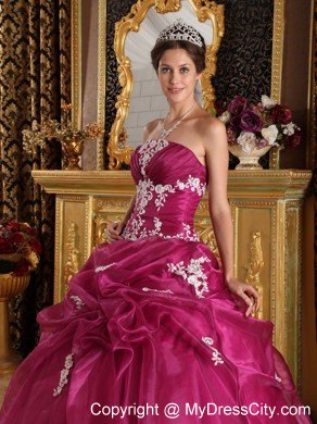 Burgundy Organza and Satin Appliques Quinceanera Gown