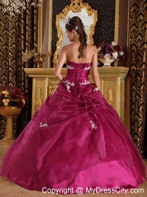 Burgundy Organza and Satin Appliques Quinceanera Gown