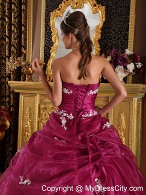 Burgundy Organza and Satin Appliques Quinceanera Gown