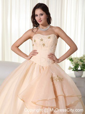 Organza Champagne Strapless Embroidery Sweet Sixteen Dresses