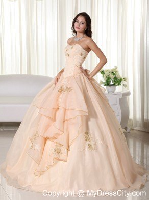 Organza Champagne Strapless Embroidery Sweet Sixteen Dresses