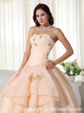 Organza Champagne Strapless Embroidery Sweet Sixteen Dresses