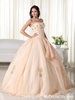 Organza Champagne Strapless Embroidery Sweet Sixteen Dresses