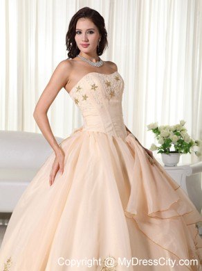 Organza Champagne Strapless Embroidery Sweet Sixteen Dresses