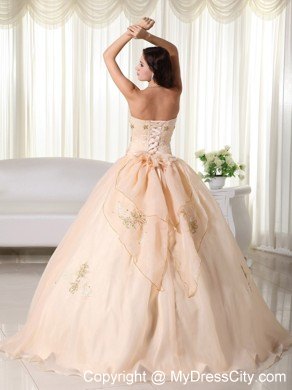 Organza Champagne Strapless Embroidery Sweet Sixteen Dresses