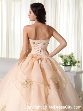 Organza Champagne Strapless Embroidery Sweet Sixteen Dresses