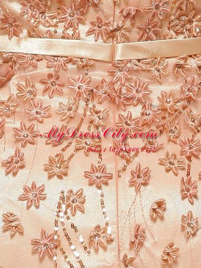 Peach Prom Evening Gown Prom and Party and For with Beading and Appliques V-neck Cap Sleeves Brush Train Zipper