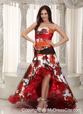 Colorful A-line High-low Organza Dropped Waist Prom Gown