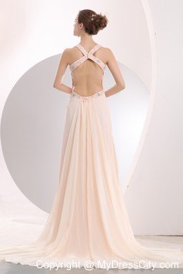 Beautiful Appliques Light Pink Prom Dress with Watteau Train