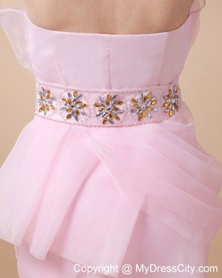 Baby Pink Hand Made Flowers Beaded Waist Prom Homecoming Dress