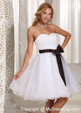 Simple Sashed Sweetheart Ruched Organza Summer Homecoming Dress