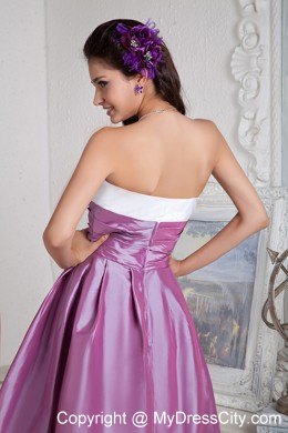 Lavender and White Ruched Celebrity Dress Under 100 in Knee-length