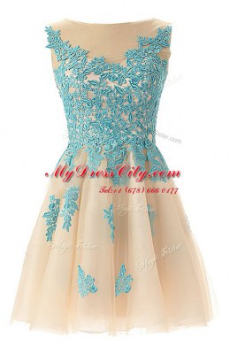 Best Selling Champagne Sleeveless Tulle Zipper Prom Evening Gown for Prom and Party