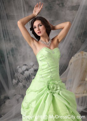 Pick-up Princess Sweetheart Prom Gowns in Apple Green