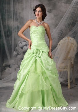 Pick-up Princess Sweetheart Prom Gowns in Apple Green