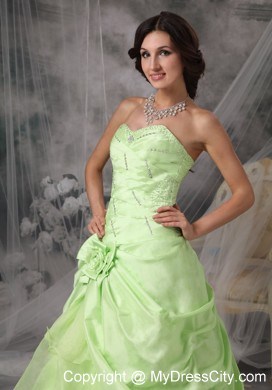 Pick-up Princess Sweetheart Prom Gowns in Apple Green