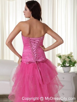 Pink A-Line Sweetheart High-low Organza Beaded Prom Dress