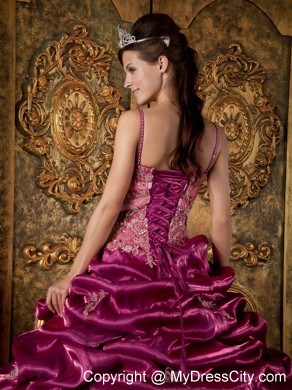 Pick-ups and Appliques appliques Spaghetti straps Quinceanera Dress