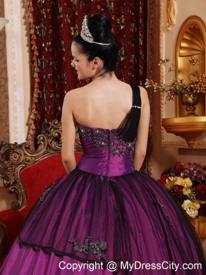 Purple Ball Gown One Shoulder Taffeta Appliques Quinceanera Dress