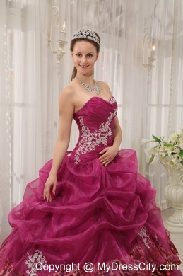 Burgundy Sweetheart Leopard Appliques Quinceanera Dress 2013