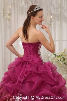 Burgundy Sweetheart Leopard Appliques Quinceanera Dress 2013