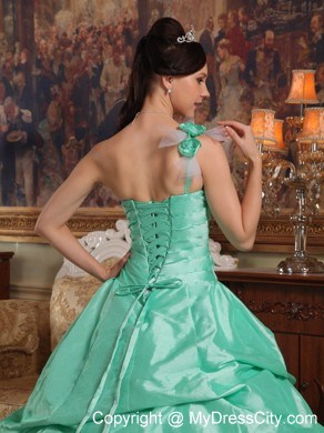 Apple Green Pick-ups Beading and Flowers Quinceanera Dress 2013