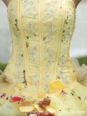 Light Yellow Appliques and Hand Made Flowers Quinceanera Dress