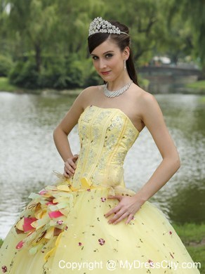 Light Yellow Appliques and Hand Made Flowers Quinceanera Dress