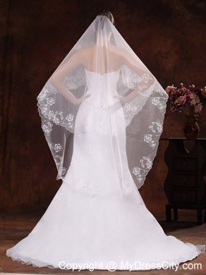 Lace Appliques And Two-tier Organza Veil For Wedding