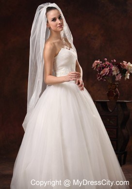 Beautiful Organza Bridal Veil For Wedding