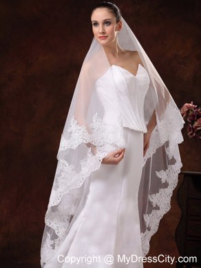 Tulle With Lace Applique Edge Graceful Wedding Veil