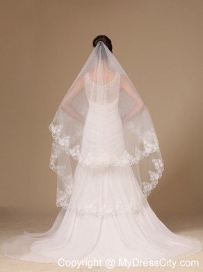 Lace Appliques One-tier Cathedral Tulle Stylish Wedding Veil