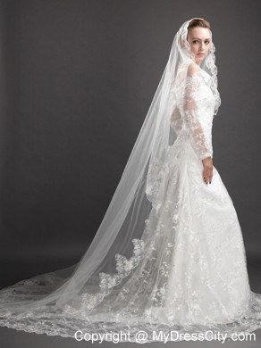 Perfect Lace Appliques Tulle Graceful Wedding Veil