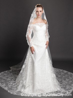 Perfect Lace Appliques Edge Organza Wedding Veil