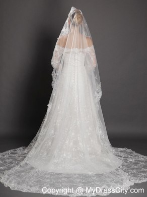 Perfect Lace Appliques Edge Organza Wedding Veil