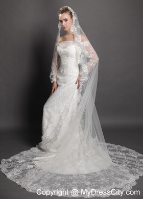 Perfect Lace Appliques Edge Organza Wedding Veil