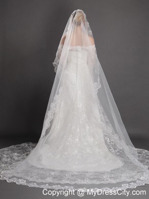 Royal Lace Appliques Tulle Bridal Veil