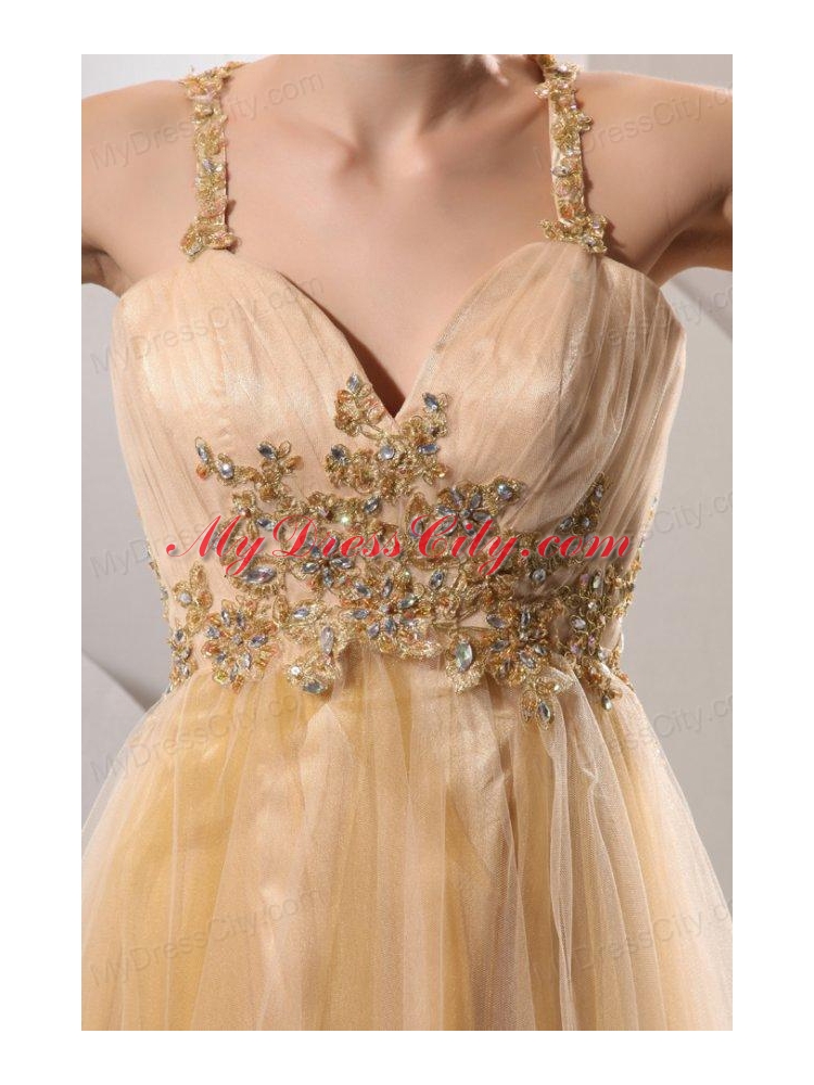 A-line Gold Straps Appliques and Ruching Floor-length Organza Prom Dress