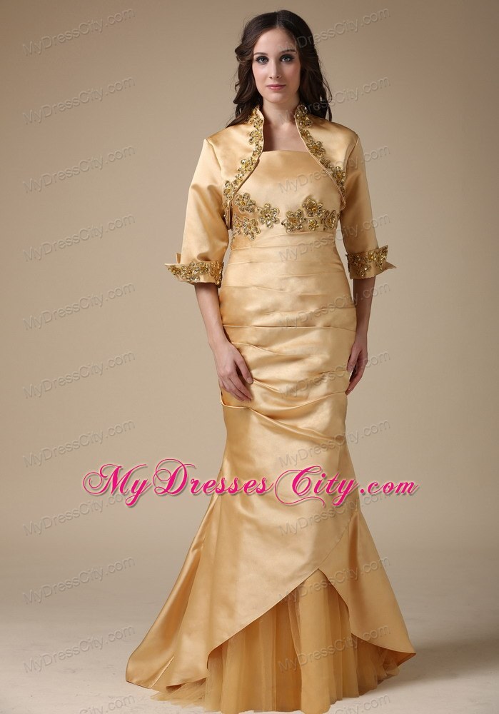 Mermaid Brush Mother Of The Bride Dress with Appliques and Ruche