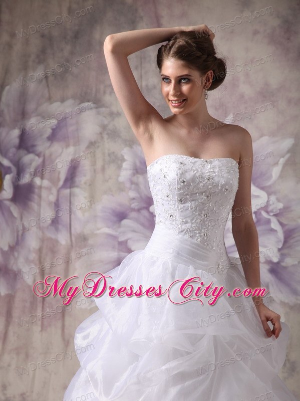 Beaded Appliques Wedding Gowns with Pick-ups and Sweep Train