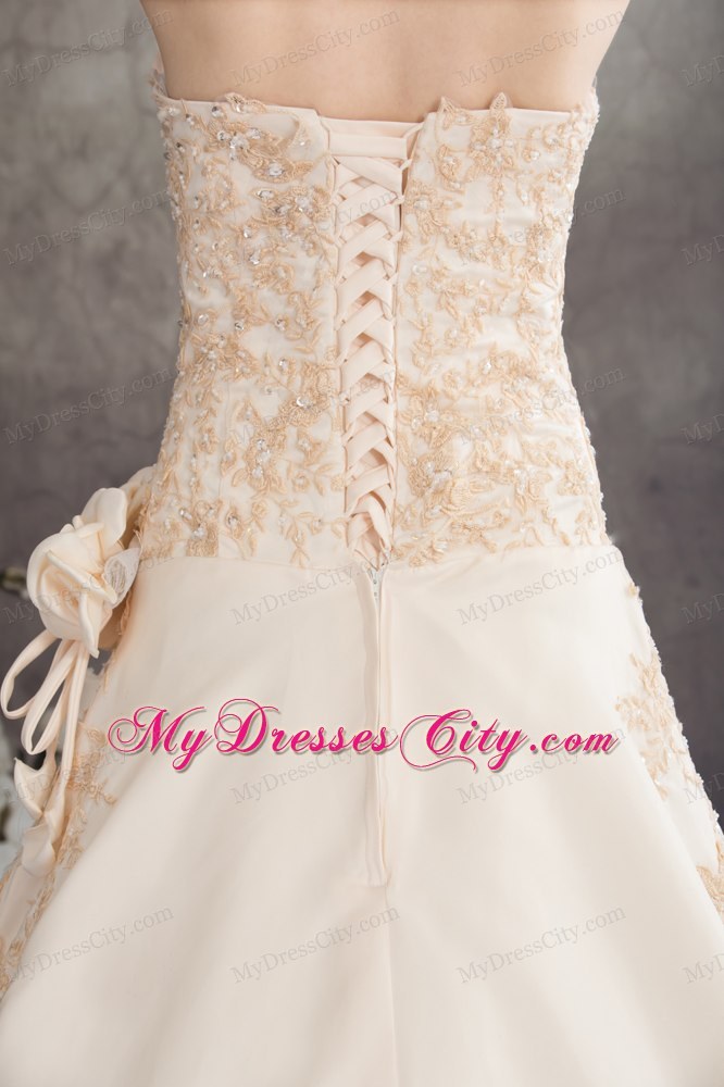 Champagne Sweetheart A-line Appliques Flowery Wedding Dress under 250