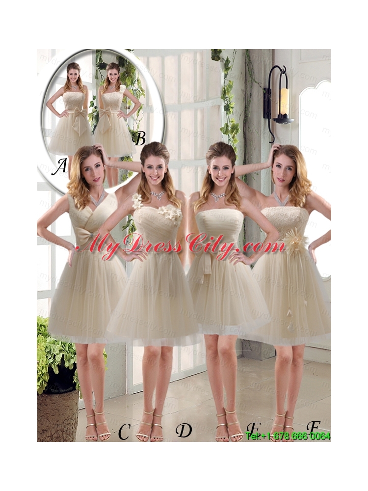 Popular Champagne Strapless Princess Bowknot Mothr of The Bride  Dresses for 2015