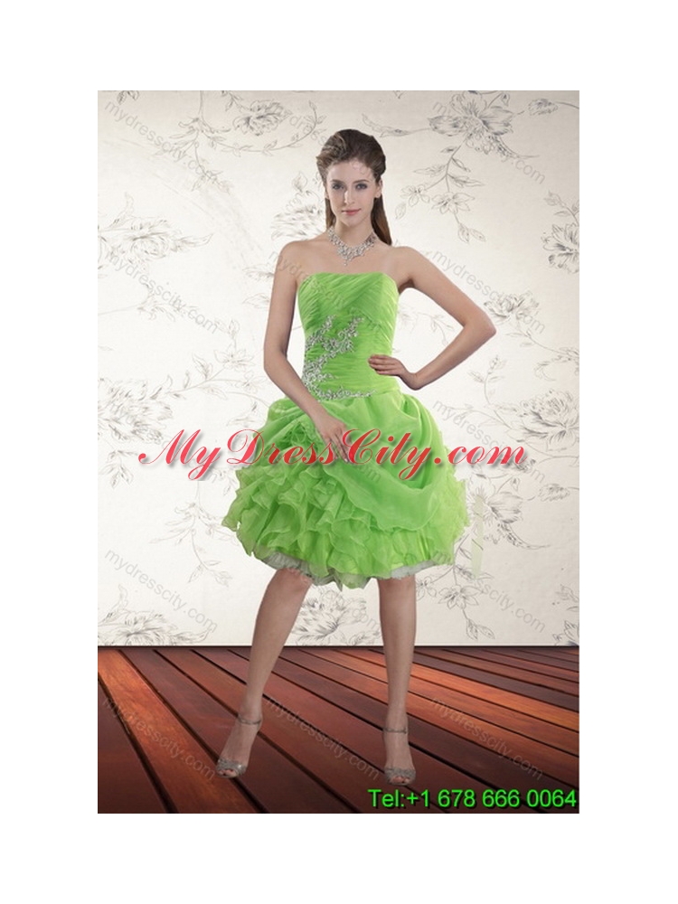 2015 Inexpensive Spring Green Unique Quince Dresses with Pick Ups and Beading