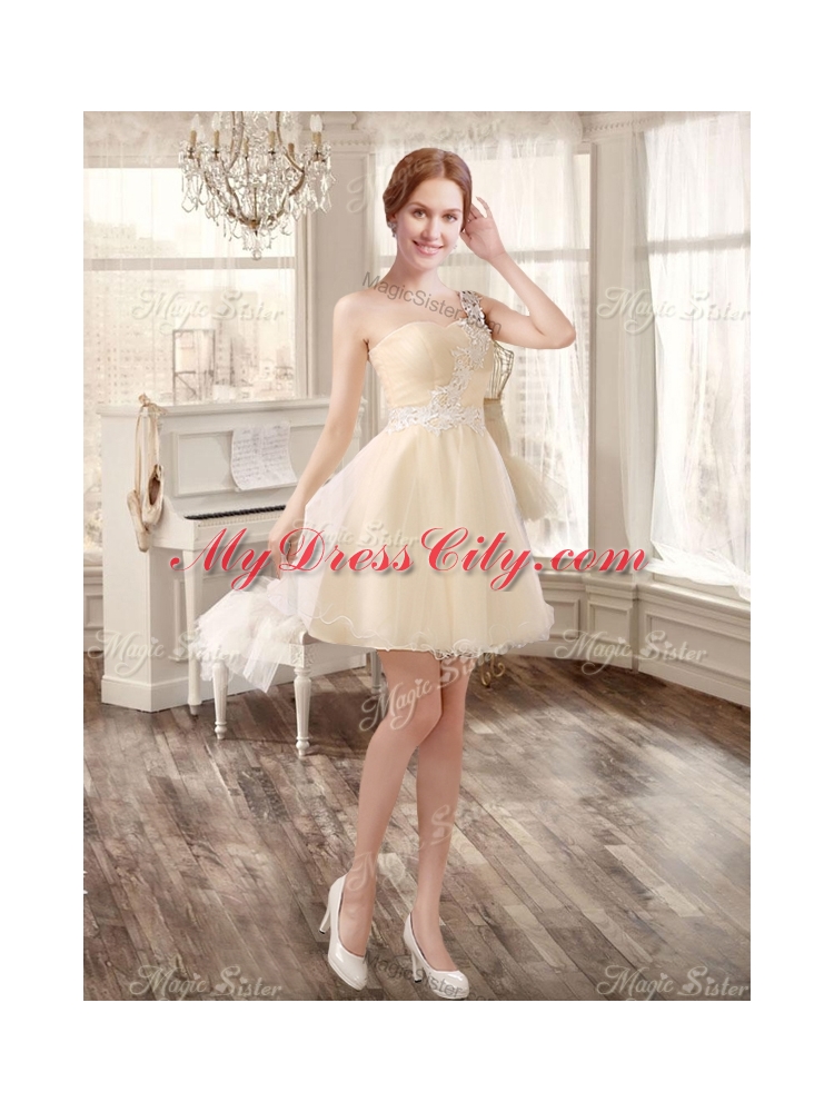 Classical Applique and Ruffled Champagne Sweet 16 Dress and Short Dama Dresses