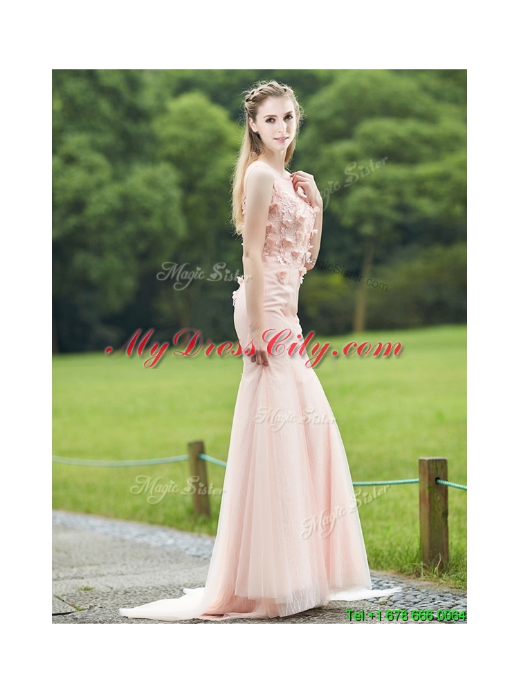 Luxurious See Through Light Pink Mermaid Mother Dress with Brush Train